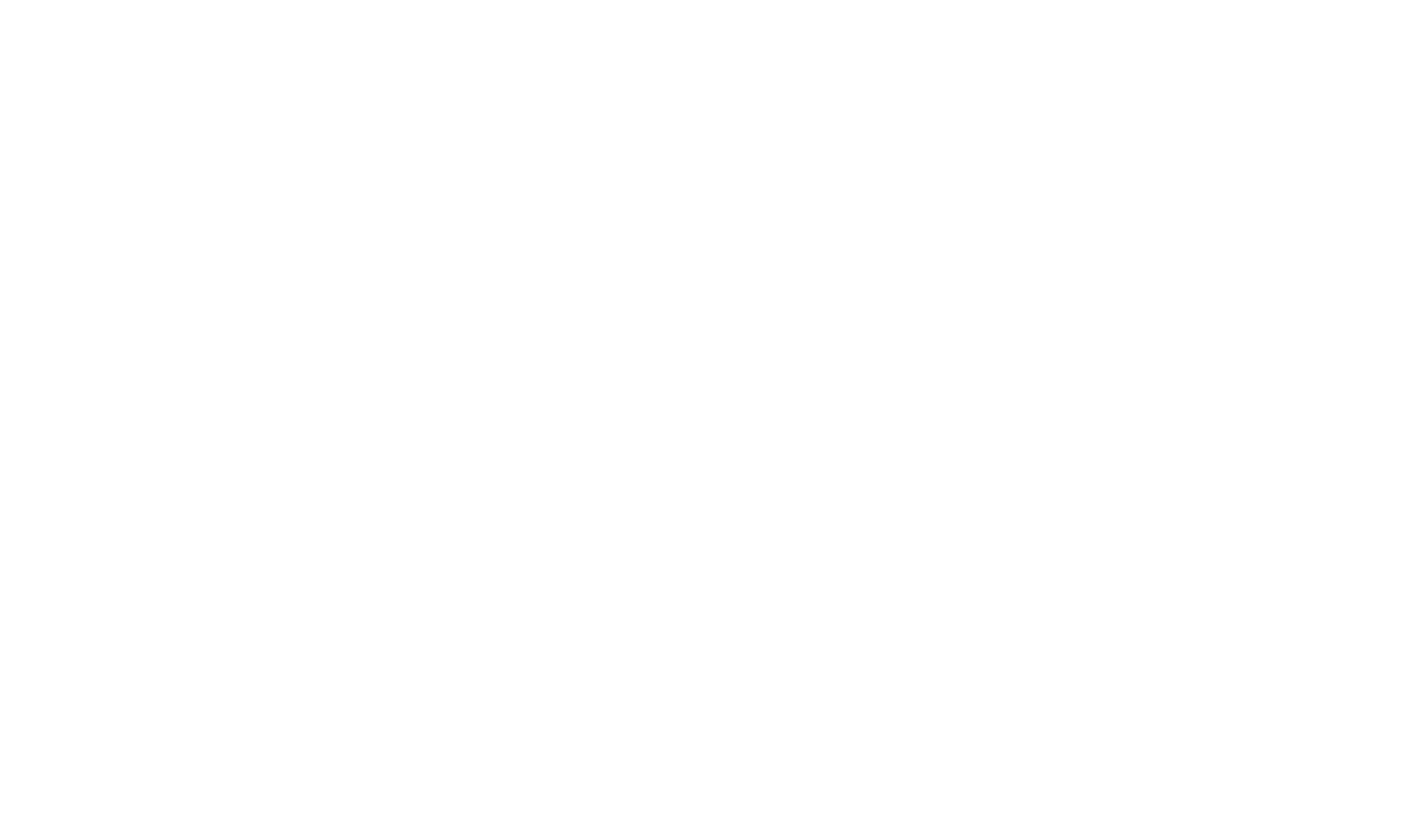 STELX-логотип